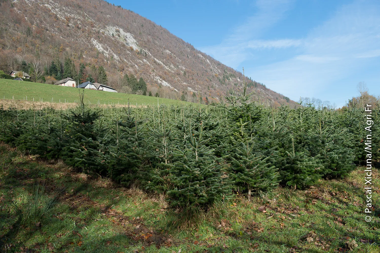 Image for JT 19/20 Rhône-Alpes – France 3 Auvergne-Rhône-Alpes